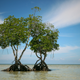 Illustration for article titled Your Guide To Island Hopping The Philippines